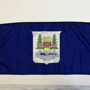 Cover image of  Flag