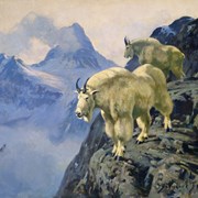 Cover image of Mountain Goats and Mount Assiniboine