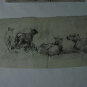 Cover image of Four Sheep Resting