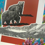 Cover image of Grizzlies#2, Icefield Parkway