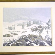 Cover image of Snow on Higher Meadows