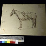 Cover image of Bill Neish's Horse 1936