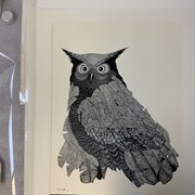 Cover image of Owl