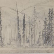 Cover image of Trees and Mountain Slope