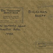 Cover image of Bighorns, Banff
