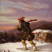 Cover image of Tracking the Moose