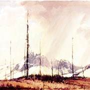 Cover image of Cathedral Mountain