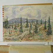 Cover image of B.C. Sketches, 1960 