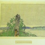 Cover image of The Stump-Lake of the Woods