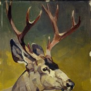 Cover image of Deer Head