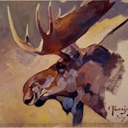 Cover image of Moose Head
