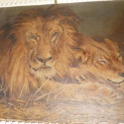 Cover image of Pair of Lions
