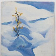 Cover image of Larch in Snow (Mt. Assiniboine Trip)