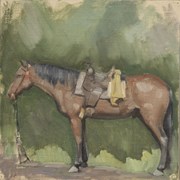 Cover image of Saddlehorse