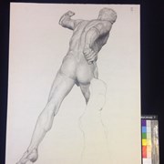 Cover image of Untitled [Drawing of Discobolus, rear view]