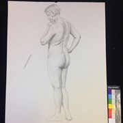 Cover image of 1rst Week Life Drawings