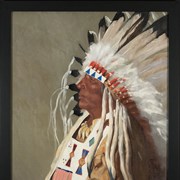 Cover image of Chief Dan Wildman