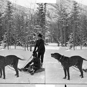 Cover image of [Elliott and Robert Barnes?] being pulled in toboggan by dog