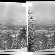 Cover image of Banff from Mount Norquay