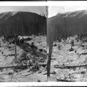 Cover image of Teams skidding logs