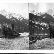 Cover image of Team hauling logs on sleigh