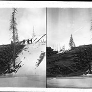 Cover image of Men stacking timber