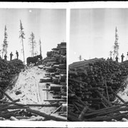 Cover image of Men and team stacking timber