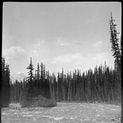 Cover image of Rapids on the Columbia River