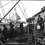 Cover image of Passengers embarking on ship