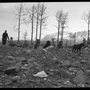 Cover image of Man and woman on dog sled