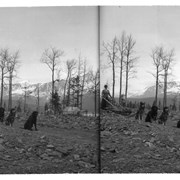 Cover image of Woman with dog team and sled