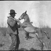 Cover image of Ole Garrett with pony