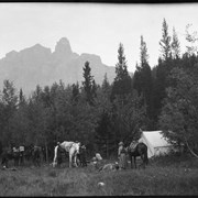 Cover image of Men packing horse camp near Castle Mountain