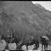 Cover image of [Men and pack horses - Kootenay Plains] [Alberta]