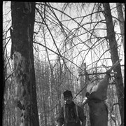 Cover image of [Elliott Barnes with slain deer]