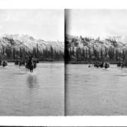 Cover image of Pack train fording Saskatchewan River