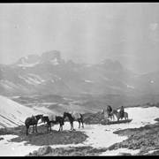 Cover image of Barnes family with pack train at Pipestone Pass on trip to Kootenay Plains