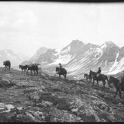 Cover image of Barnes family with pack train on trail near Pipestone Pass