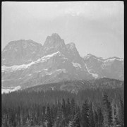 Cover image of Barnes family and pack train on trip to Kootenay Plains