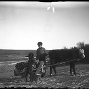 Cover image of Findlay Barnes on cart at Jumping Pound