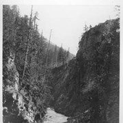 Cover image of 840. The Albert Canyon, Selkirks