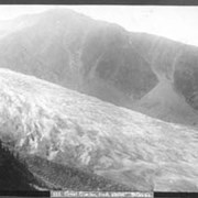 Cover image of 533. Great Glacier from above, Selkirks