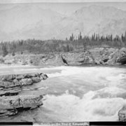 Cover image of 771. Rapids on the Bow at Kananaskis