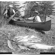 Cover image of 769. Catch of fish, Lake Minnewauka, Banff