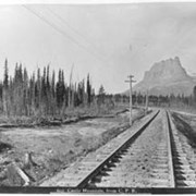 Cover image of 603. Castle Mountain from C.P.R.