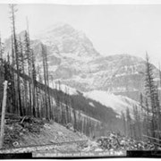 Cover image of 580. Mount Stephen and Glacier, 10,525 ft. high