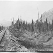 Cover image of 605. C.P.R. In the Rockies