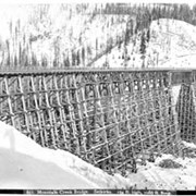 Cover image of 651. Mountain Creek Bridge, Selkirks, 164 ft. high, 1086 ft. long