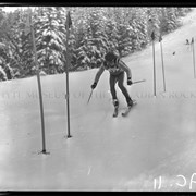 Cover image of CASA Ski Competitions, 1969