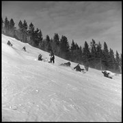 Cover image of Skiing - Norquay, 1958 - 1959